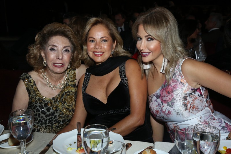 DiaLeb's 8th Annual Fundraising Gala Dinner